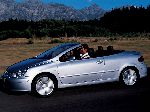nuotrauka 3 Automobilis Peugeot 307 СС kabrioletas (1 generacija 2001 2005)
