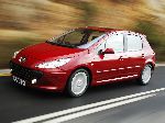 fotoğraf 3 Oto Peugeot 307 Hatchback 3-kapılı. (1 nesil 2001 2005)