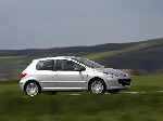 照片 10 汽车 Peugeot 307 掀背式 5-门 (1 一代人 [重塑形象] 2005 2008)