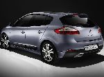 fotografie 28 Auto Renault Megane Hatchback 5-uși (3 generație 2008 2014)