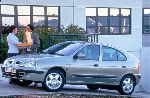 fotografie 71 Auto Renault Megane Hatchback 3-uși (2 generație 2002 2006)