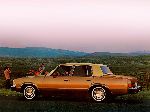 Foto 33 Auto Chevrolet Malibu Sport Sedan sedan (1 generation [3 restyling] 1981 0)