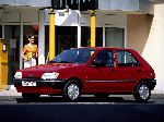 fotoğraf 80 Oto Ford Fiesta Hatchback 3-kapılı. (3 nesil 1989 1996)