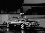 fotoğraf 13 Oto Cadillac Eldorado Coupe (11 nesil 1991 2002)